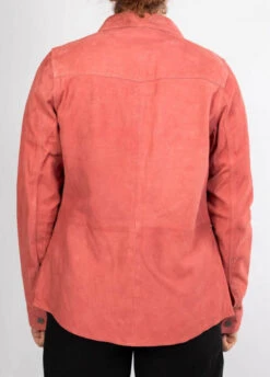 Chemise Femme Chèvre Velours Rose " 101763 "